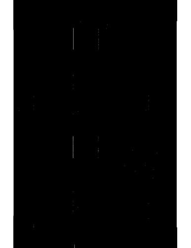﻿پاتریسیون نیشابور: مطالعه ای در تاریخ اجتماعی اسلامی قرون وسطی