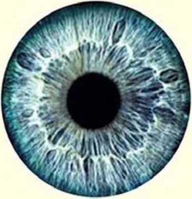 ﻿21 درس برای قرن بیست و یکم