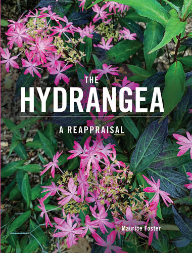 ﻿The Hydrangea: A ReApriisal