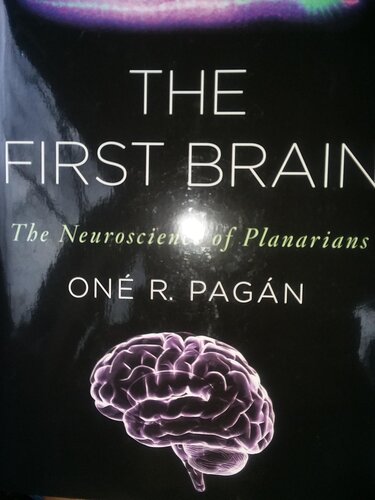 ﻿مغز اول: علوم اعصاب برنامه ریزان