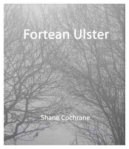 ﻿فورتئن اولستر