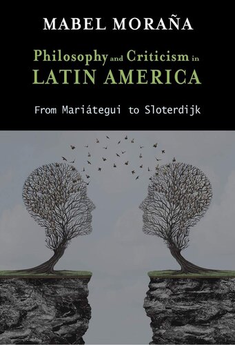 ﻿فلسفه و نقد در آمریکای لاتین: از Mariátegui تا Sloterdijk (Cambria Latin American Literatures and Cultures Se)