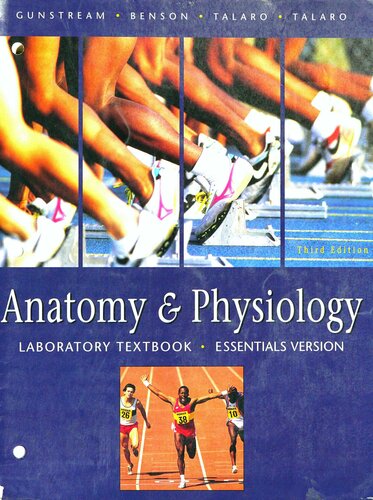 ﻿سی پوینت کیپ تاون