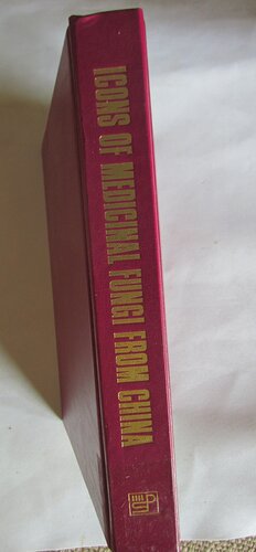 ﻿نمادهای قارچ های دارویی از چین