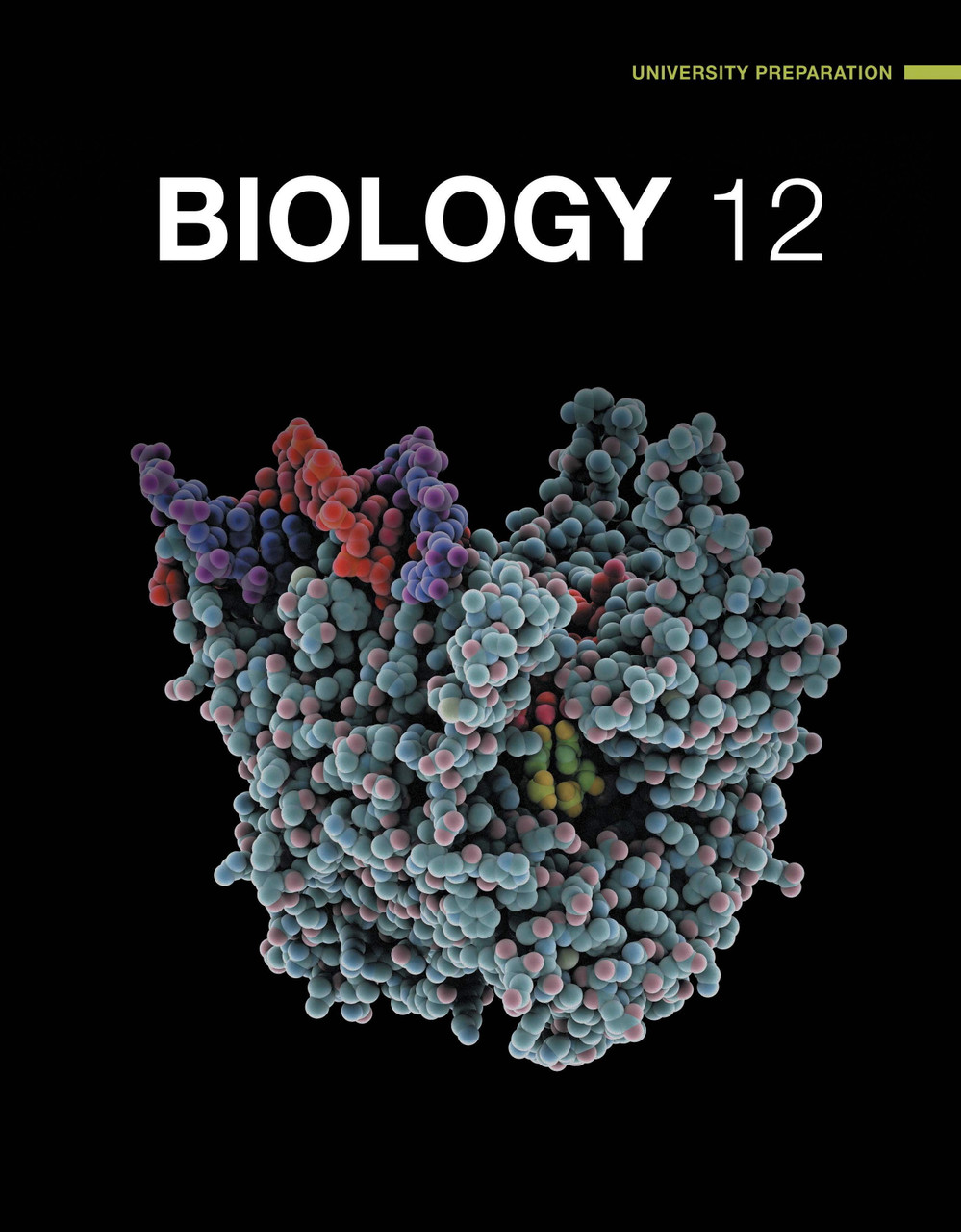 ﻿کتاب دانشجویی آمادگی دانشگاه نلسون زیست شناسی 12