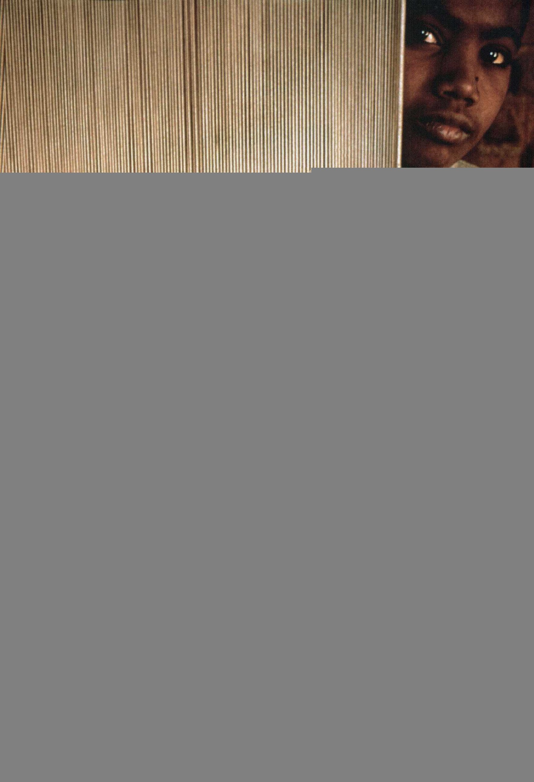 ﻿فراتر از بایکوت: حقوق کار، حقوق بشر و فعالیت فراملی (مجموعه رز انجمن جامعه شناسی آمریکا)