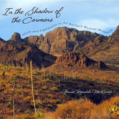 ﻿در سایه کارمن ها: دور با یک طبیعت شناس در کوه های شمال مکزیک