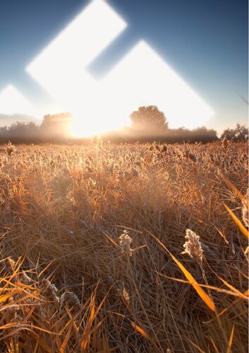 ﻿مرگ شکنندگی