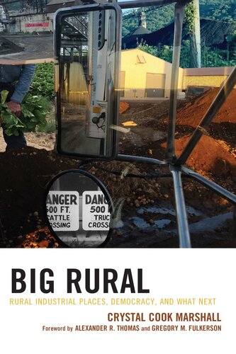 Big Rural: Rural Industrial Places, Democracy, and What Next (Studies in Urban–Rural Dynamics)