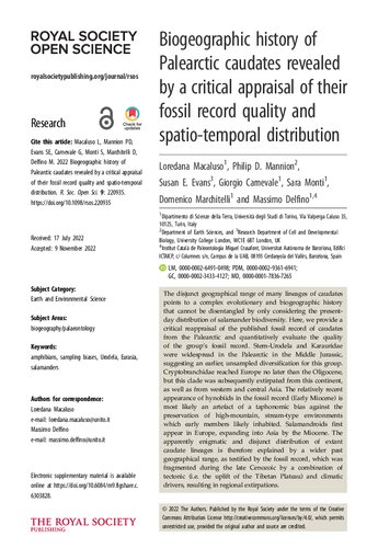 ﻿آره 
تاریخچه جغرافیایی زیستی دم‌های پالئارکتیک با ارزیابی انتقادی کیفیت رکورد فسیلی و توزیع مکانی-زمانی آنها آشکار شد.