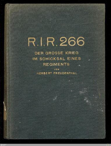 ﻿R. I. R. 266: جنگ بزرگ در سرنوشت یک هنگ