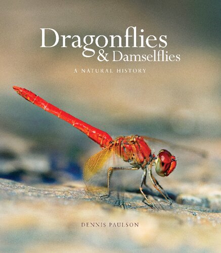 ﻿سنجاقک ها