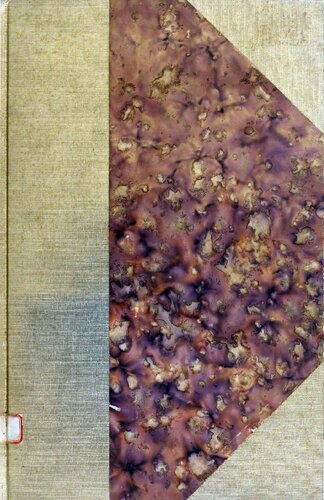 ﻿زبان آیمارا: بررسی فیلولوژیکی [1917]