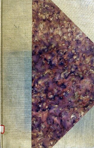 ﻿زبانشناسی ملی: زبانهای بومی [1888]