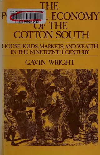 ﻿اقتصاد سیاسی جنوب پنبه: خانوارها، بازارها و ثروت در قرن نوزدهم