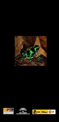 ﻿کاستاریکا: راهنمای معماری و منظر / راهنمای معماری و منظر