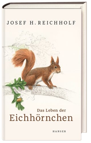 ﻿زندگی سنجاب ها