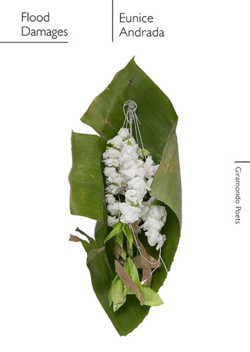 ﻿خسارات سیل