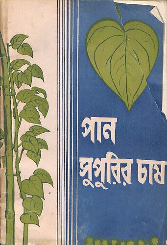 ﻿পান সুপুরির চাষ