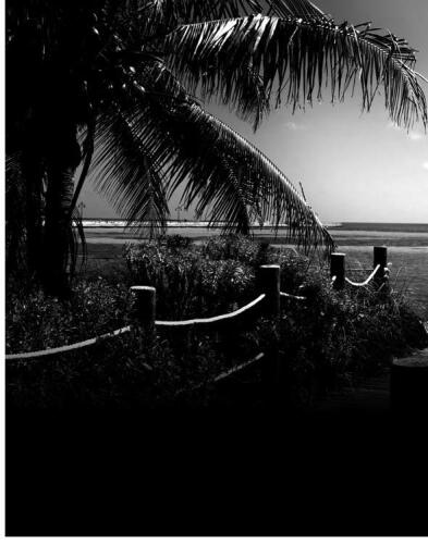 وام با قصد (استون بارینگتون)