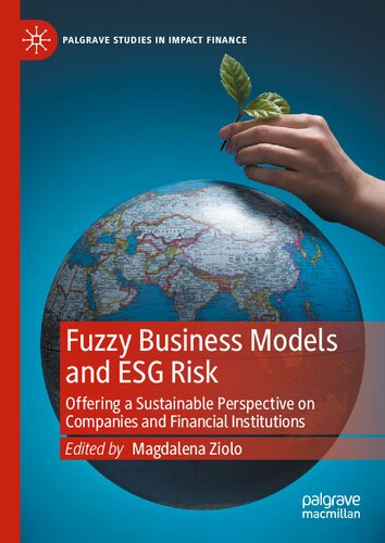 ﻿مدل‌های کسب‌وکار فازی و ریسک ESG: ارائه چشم‌اندازی پایدار برای شرکت‌ها و مؤسسات مالی (مطالعات پالگریو در تأثیر مالی)