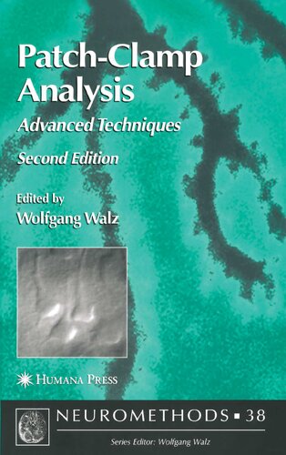 ﻿تجزیه و تحلیل وصله گیره: تکنیک های پیشرفته (NEUROMETHODS)