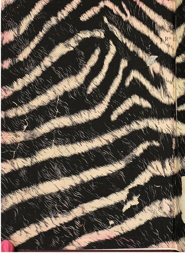 ﻿شکار فیل در شرق آفریقای استوایی