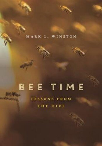 ﻿Bee Time: درسهایی از کندو