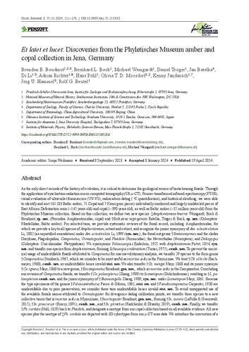 ﻿Et latet et lucet: اکتشافات از مجموعه کهربا و کوپال موزه Phyletische در ینا، آلمان