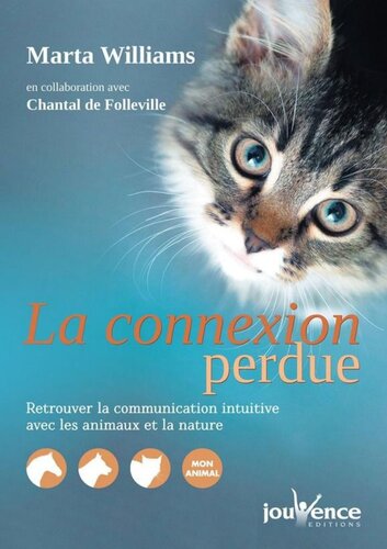 ﻿ارتباط از دست رفته