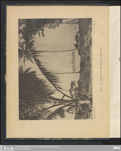 ﻿در میان پاپوآها. مشاهدات و مطالعات در مورد زمین و مردم، حیوانات و گیاهان در Kaiser-Wilhelmsland.