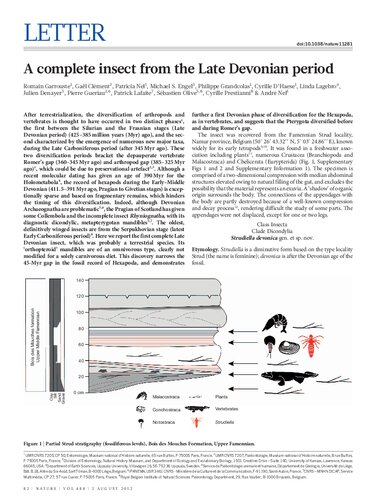 ﻿یک حشره کامل از دوره دونین پسین