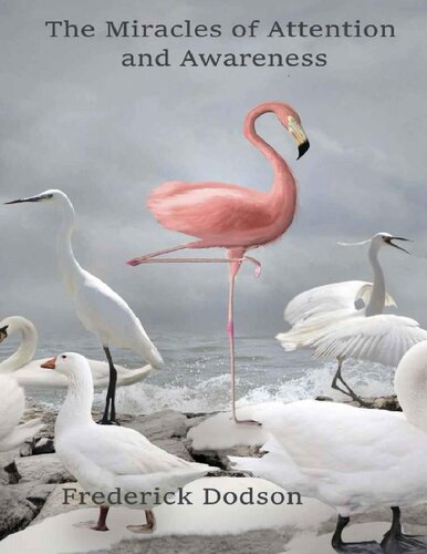 ﻿معجزات توجه و آگاهی