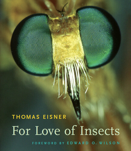 ﻿برای عشق به حشرات