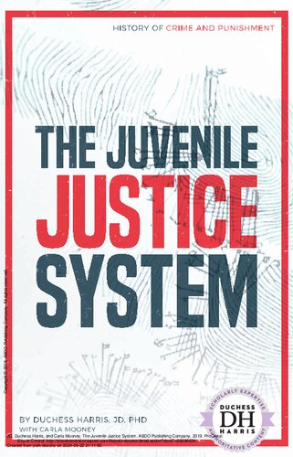 ﻿سیستم عدالت نوجوانان