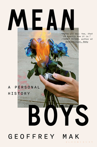 ﻿Mean Boys: A Personal History