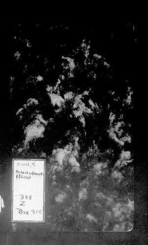 ﻿معنی و طراحی خدمت اجباری کار