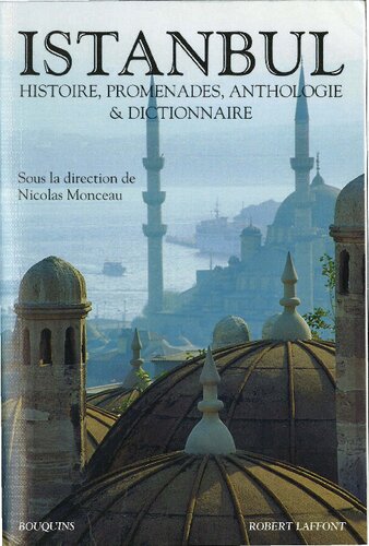 ﻿استانبول: تاریخ، پیاده روی، گلچین