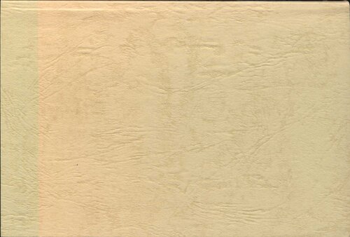 ﻿تحقیق تاریخی/حادثه نومونهان: حقیقت پیدا شد