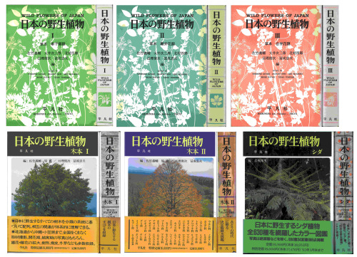 ﻿گیاهان وحشی ژاپنی علفی I-III + Woody I-II + سرخس (متن) WILD FLOWERS OF JAPAN