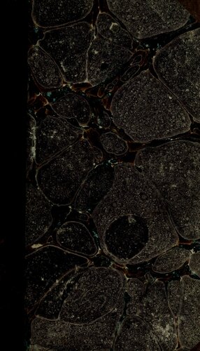 ﻿تاریخ اتریش [اتریش]