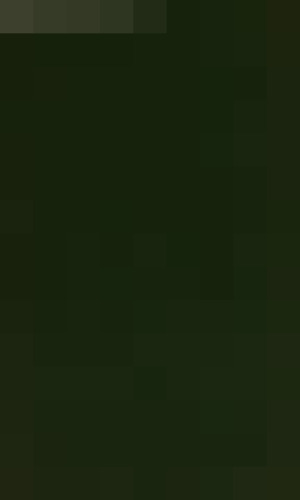 ﻿تاریخچه توچ [آلمانی ها] / از اصلاحات کلیسا تا صلح وستفالیا