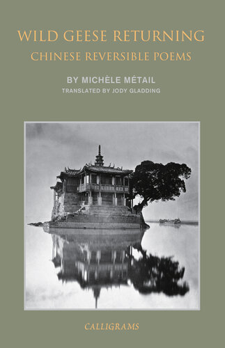 ﻿بازگشت غازهای وحشی