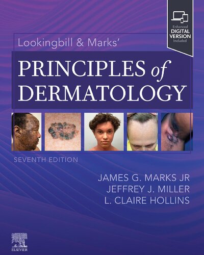 ﻿بیل جستجو