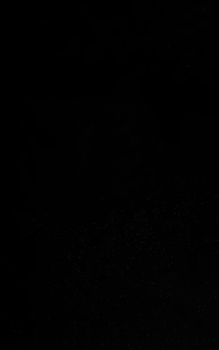 ﻿کاتولیک ها و 