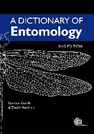 ﻿فرهنگ لغت آنتولوژی