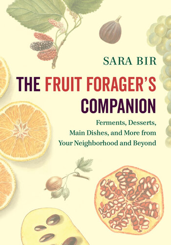 ﻿همراه Fruit Forager