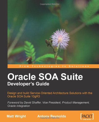 ﻿راهنمای توسعه دهنده Oracle SOA Suite