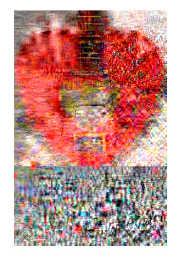 The Hurricane - Suzi Quatro