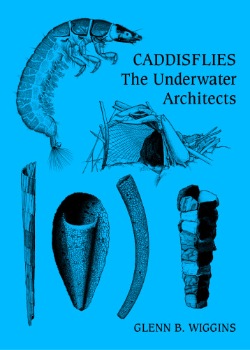 ﻿caddisflies. معماران زیر آب